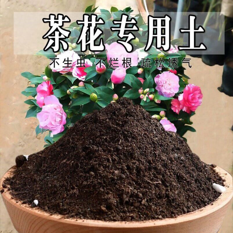 茶花专用土花土绿植椰砖茶花营养土疏松绿植物盆栽泥土种植土养花
