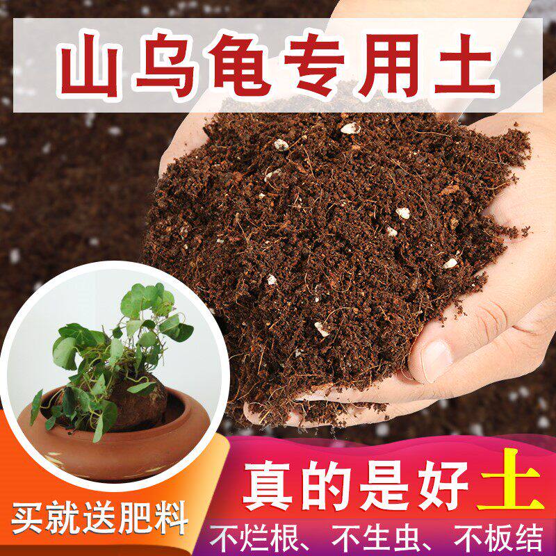 山乌龟专用土植物专用营养土种球专用土种花专用的有机营养土泥土