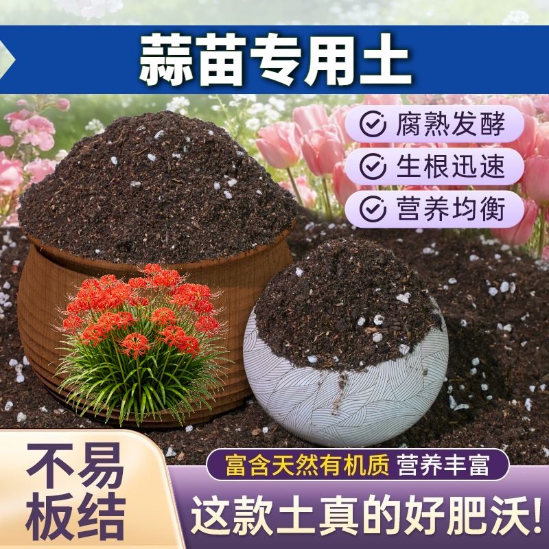 蒜苗专用轻质土加珍珠岩室内加有机肥天然促生长多肉疏松透气花园