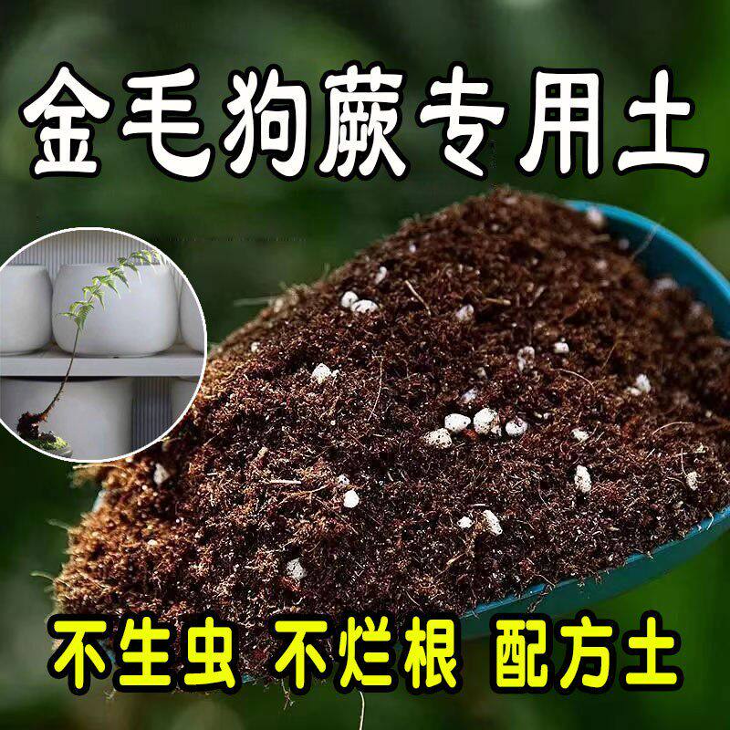 金毛狗蕨专用营养土 金毛狗蕨专用土 盆栽通用型种花养花种植土