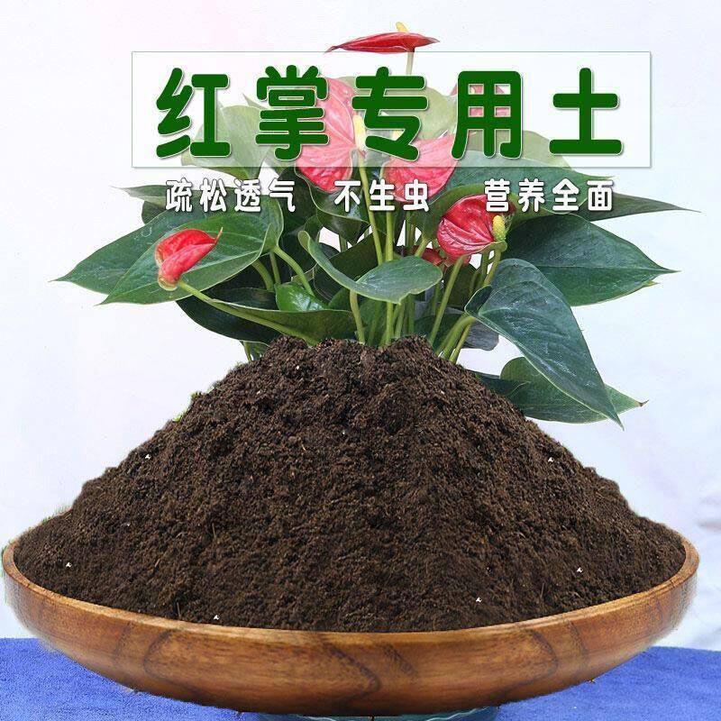 红掌土专用土粉掌白掌盆栽营养土酸性配方种植土壤花泥土有机肥料