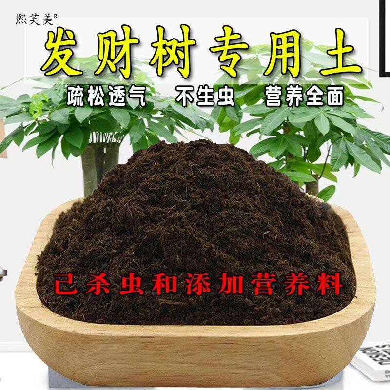 发财树专用土发财树营养土盆栽养花种植土花泥土肥料通用种花土