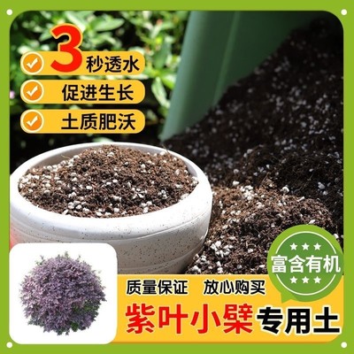 【紫叶小檗专用土】家用盆栽土加生根粉绿植专用有机植物营养肥料