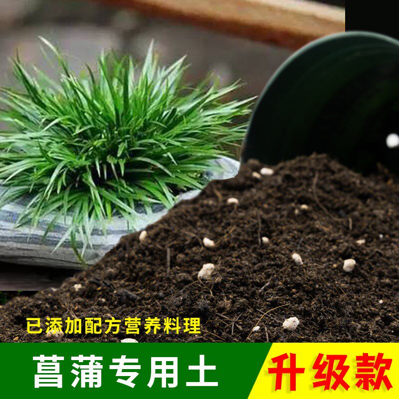 菖蒲专用土家用种植土壤透气阳台盆栽种花养花菖蒲营养土有机泥土