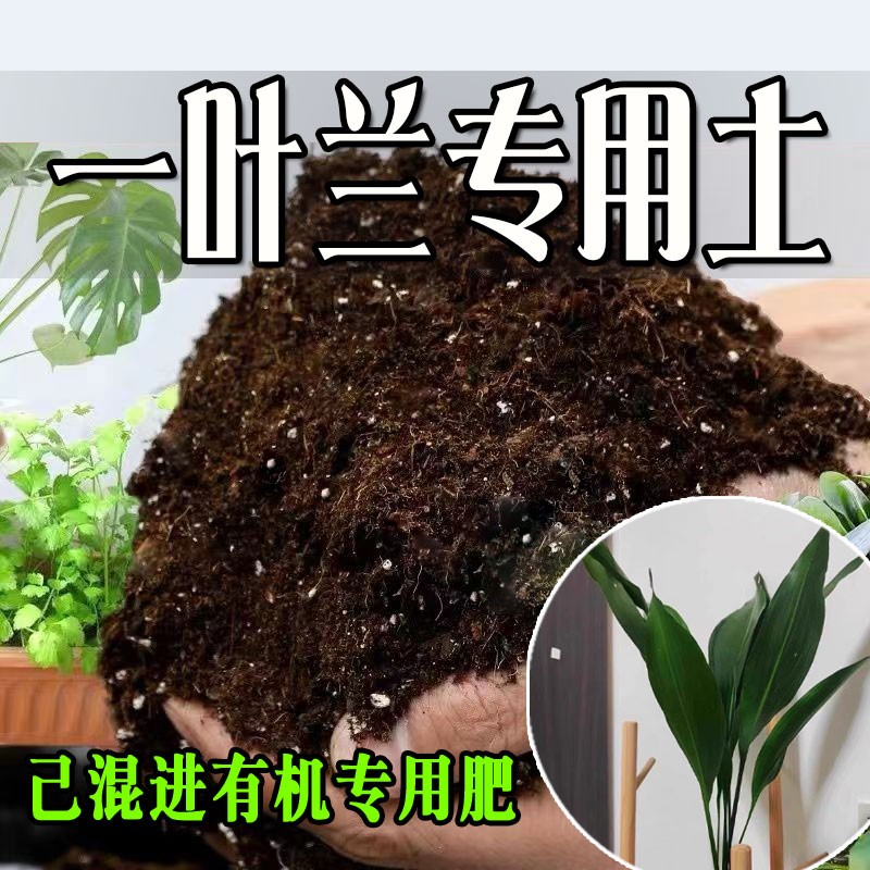 一叶兰专用轻质有机土种植土蓬松多孔盆栽土无虫卵喜酸