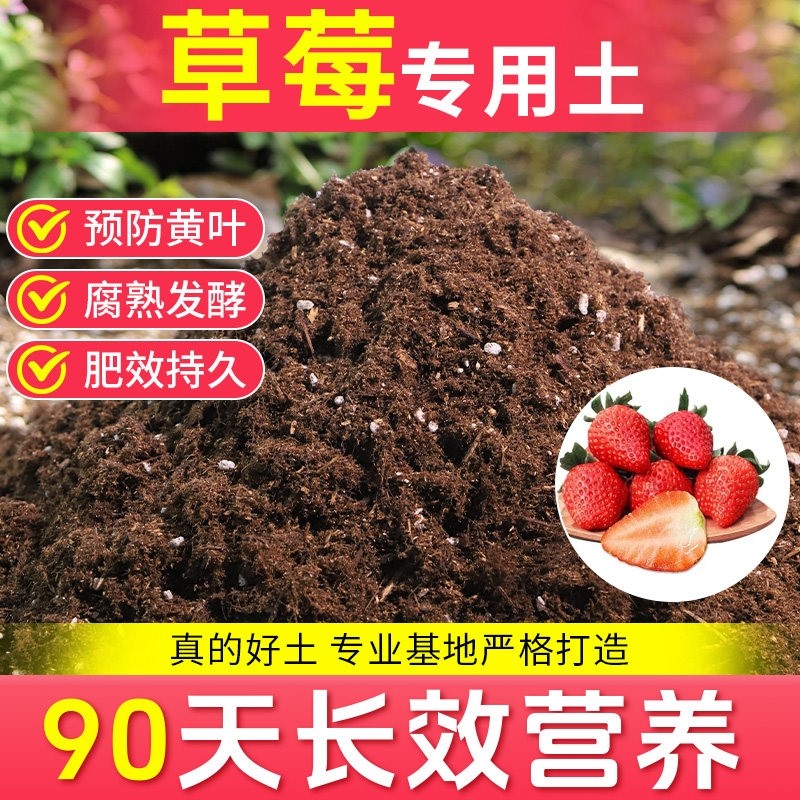 草莓专用营养土草莓有机肥料特种土壤草莓苗盆栽阳台种植泥土批发