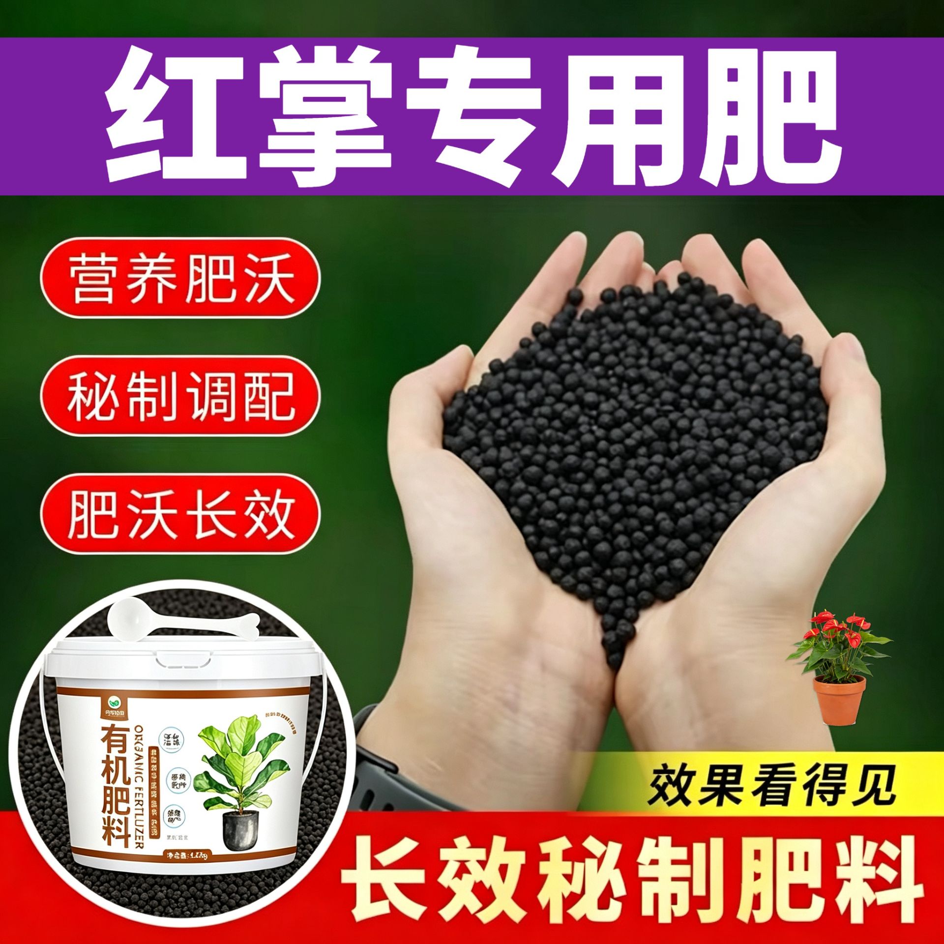 红掌适用肥有机肥花多色艳叶片肥厚阳台追肥盆栽专用肥室内平衡肥