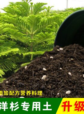 南洋杉专用土有机土肥料家用种植土南洋杉营养土盆栽养花通用包邮