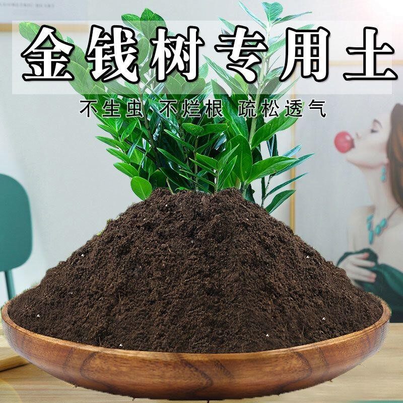 金钱树专用土酸性培养土有机土壤种植土家通用营养土盆栽肥料包邮