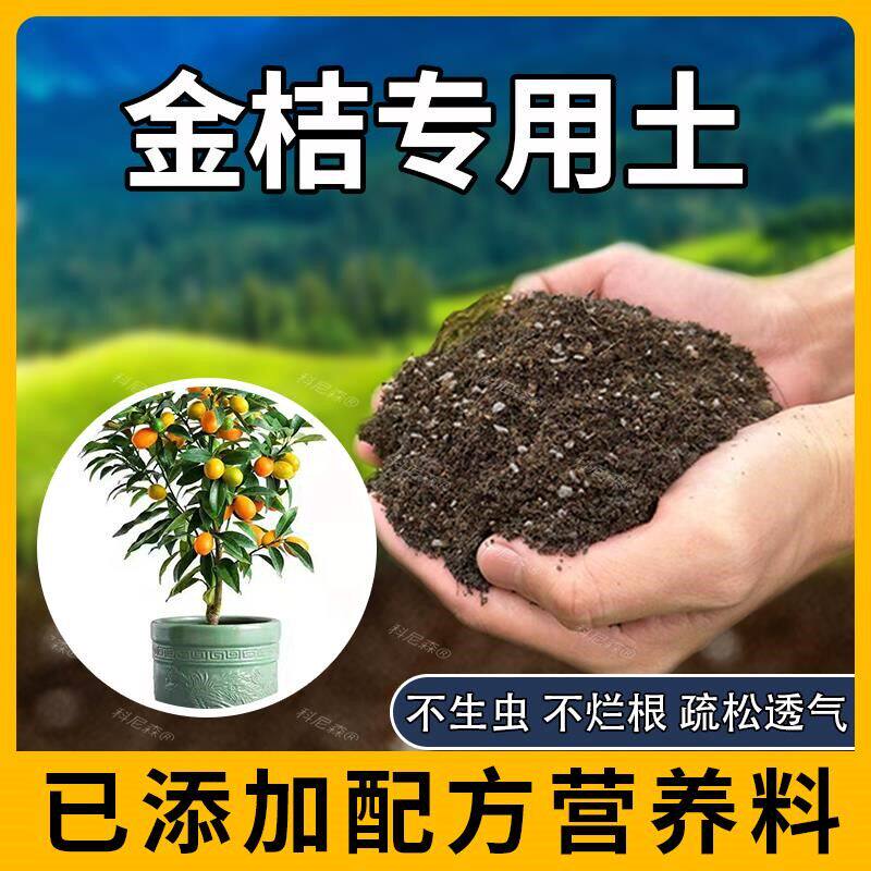 金桔专用土肥料泥土土壤农业家用金桔种树营养土盆栽水果蓬松透气
