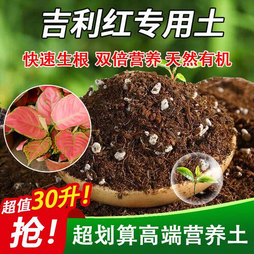 吉利红专用土家用盆栽土绿植通用营养土养花轻质蓬松花泥有机肥料
