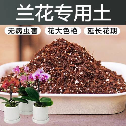 兰花专用土壤种植土花泥通用型营养土建兰寒兰兰科植料新土壤专用