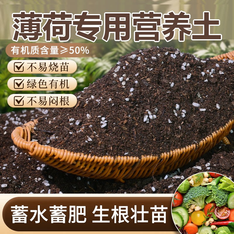 薄荷专用土盆栽有机花土种薄荷营养土壤养花通用种植土透气肥料