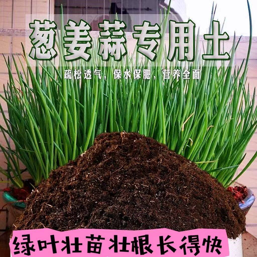 小香葱姜蒜专用家用营养土种菜营养土疏菜有机种植薄荷泥土种菜