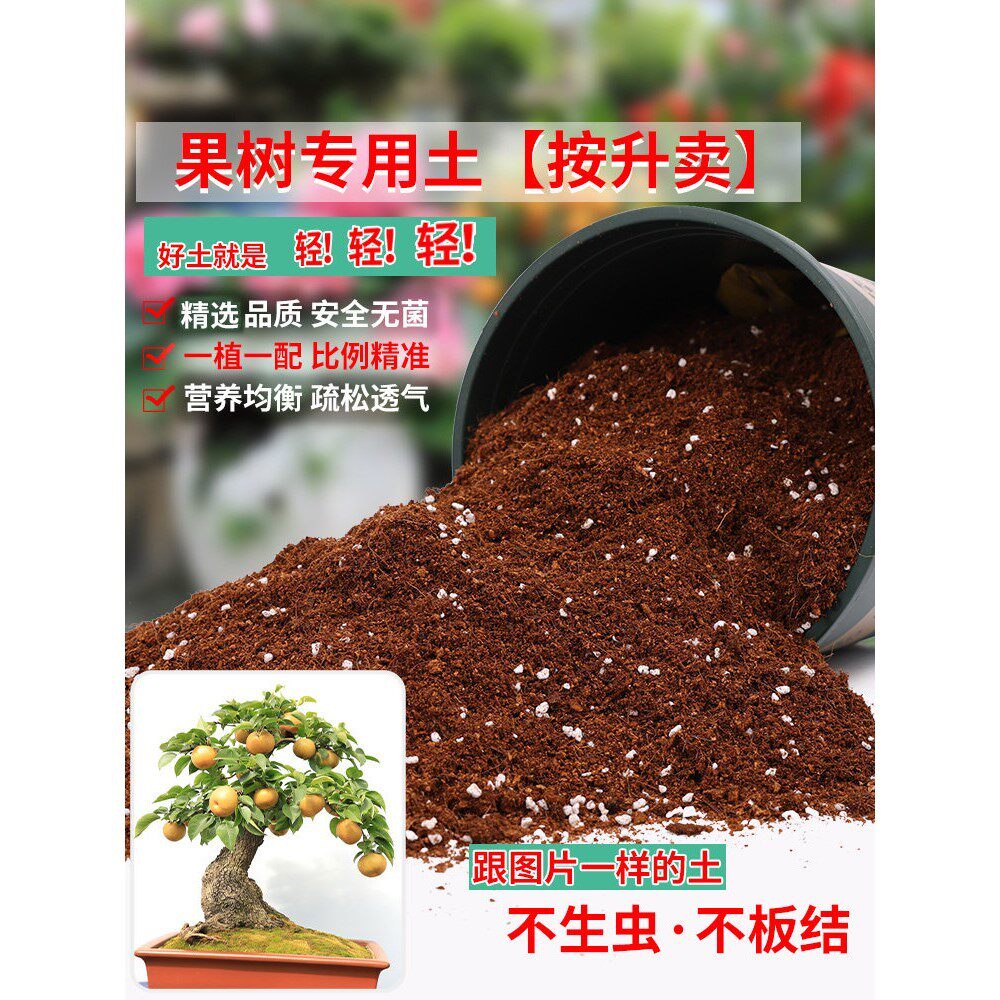 果树专用土营养土家庭盆栽樱桃树葡萄苹果盆栽土柠檬蓝莓橘子泥土