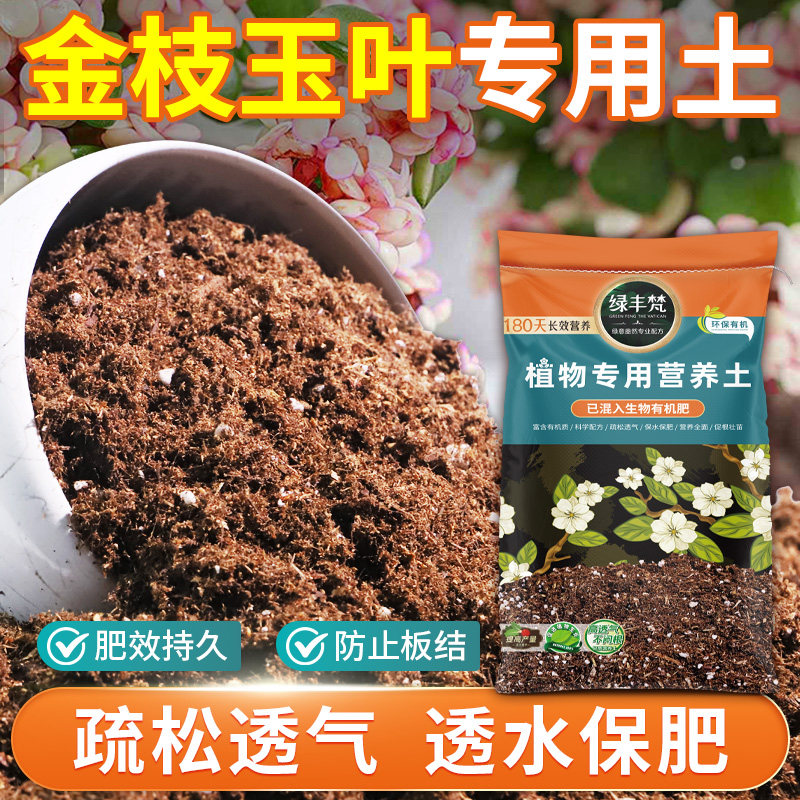 金枝玉叶适用腐殖土促开花营养土有机质丰富调节土质无草籽多肉