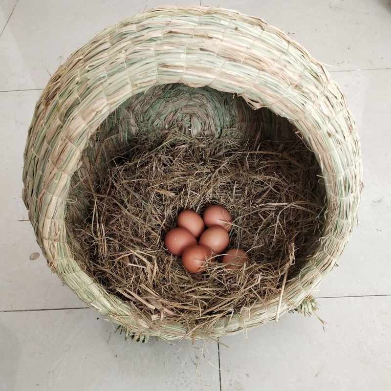 芦丁鸡窝母鸡窝草编下蛋窝特大号猫窝防侧翻草编鸡窝鸽子窝手工编