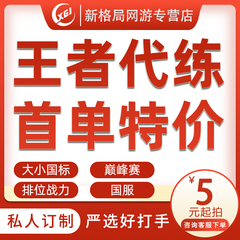 王者荣耀代打代练排位战力巅峰赛省标金标大小国标陪玩带上分车队
