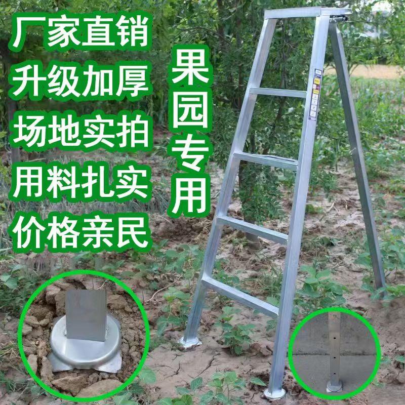 加厚加固果园梯三脚伸缩梯