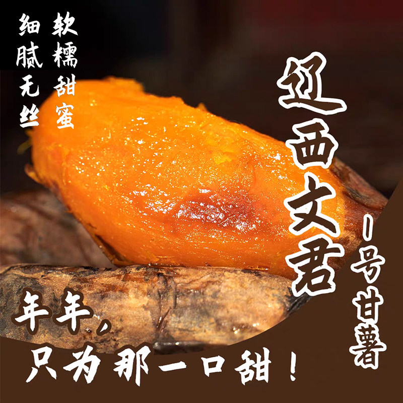 辽西文君葫芦岛甘薯红薯蜜薯地瓜糖心番薯绿色食品厂家直发4.5斤