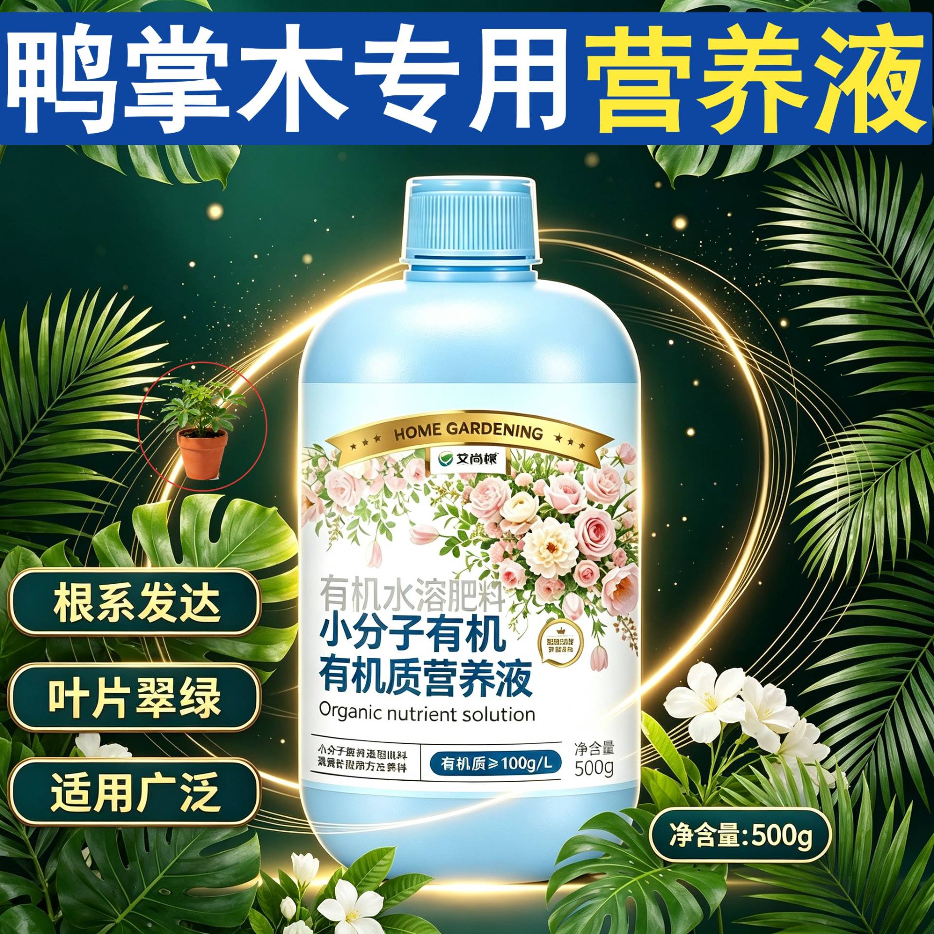 鸭掌木专用小分子有机质水溶肥浓缩高效叶绿花艳园艺盆栽快速吸收