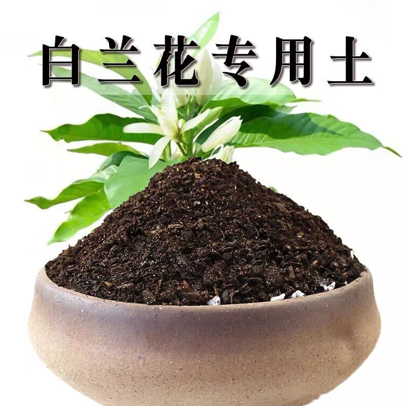 白兰花专用土白玉兰土盆栽土肥料种花泥土营养土优质种植土壤养花