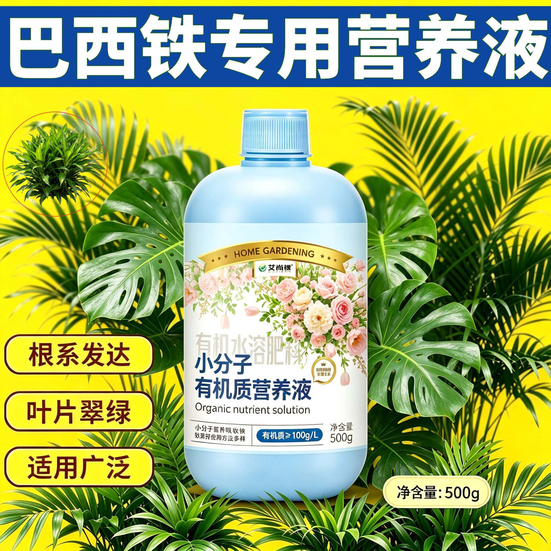 巴西铁适用浓缩型营养液小分子有机质浓缩高效根叶双补园艺盆栽