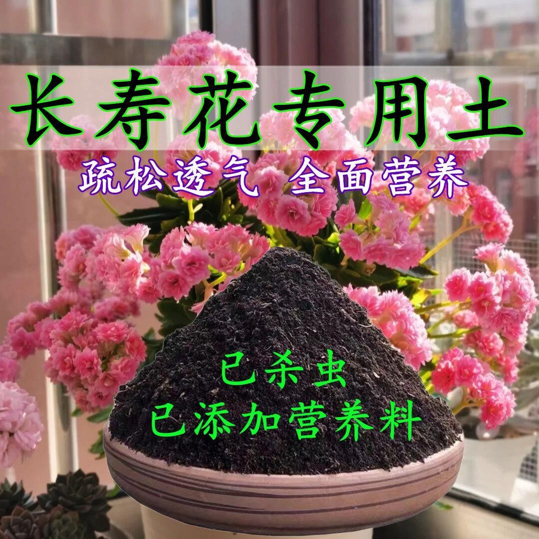 长寿花专用土长寿花专用营养土养花种花土通用种植土酸性土壤肥料