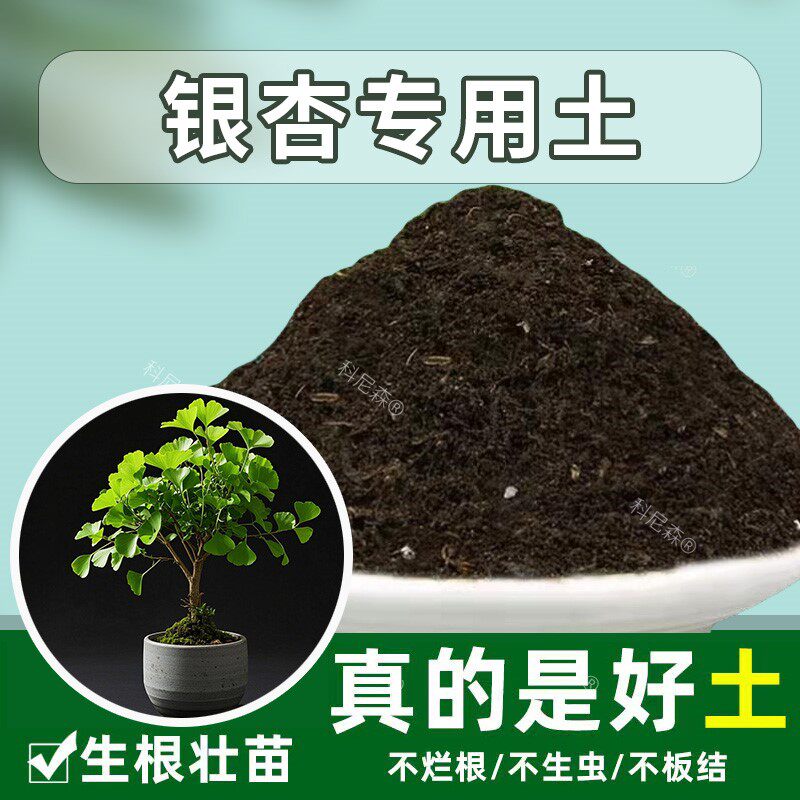银杏专用土育苗土种植土通用土泥土阳台透气盆栽土银杏营养土家用