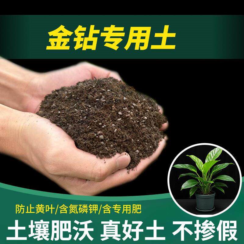 金钻专用土蓬松发酵园艺金钻专用营养土椰砖栽培土有机肥有机土