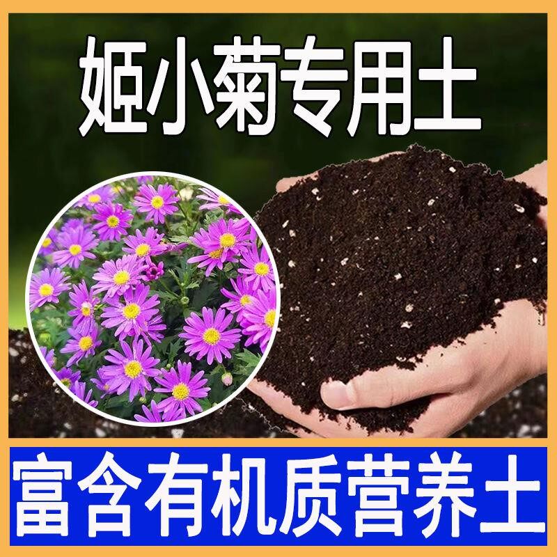 姬小菊专用土菊花肥料腐殖土花卉盆栽养花肥种花种植土腐叶腐殖土