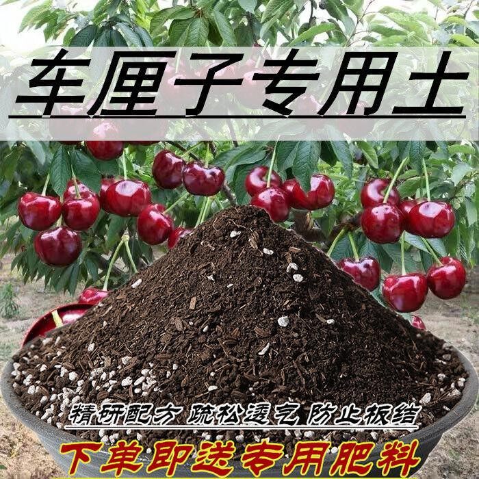 车厘子专用土车厘子营养土通用型家用有机养花超轻土壤