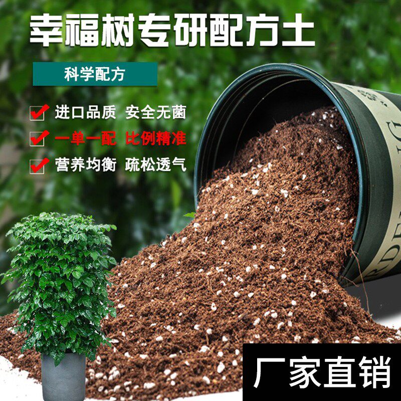 幸福树专用土花卉绿植盆栽种植土花土疏松透气肥沃砂质土壤营养土