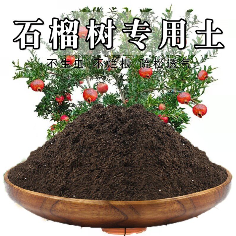 石榴树专用土肥料石榴树专用营养土育苗室内透气蔬果种植疏松水果