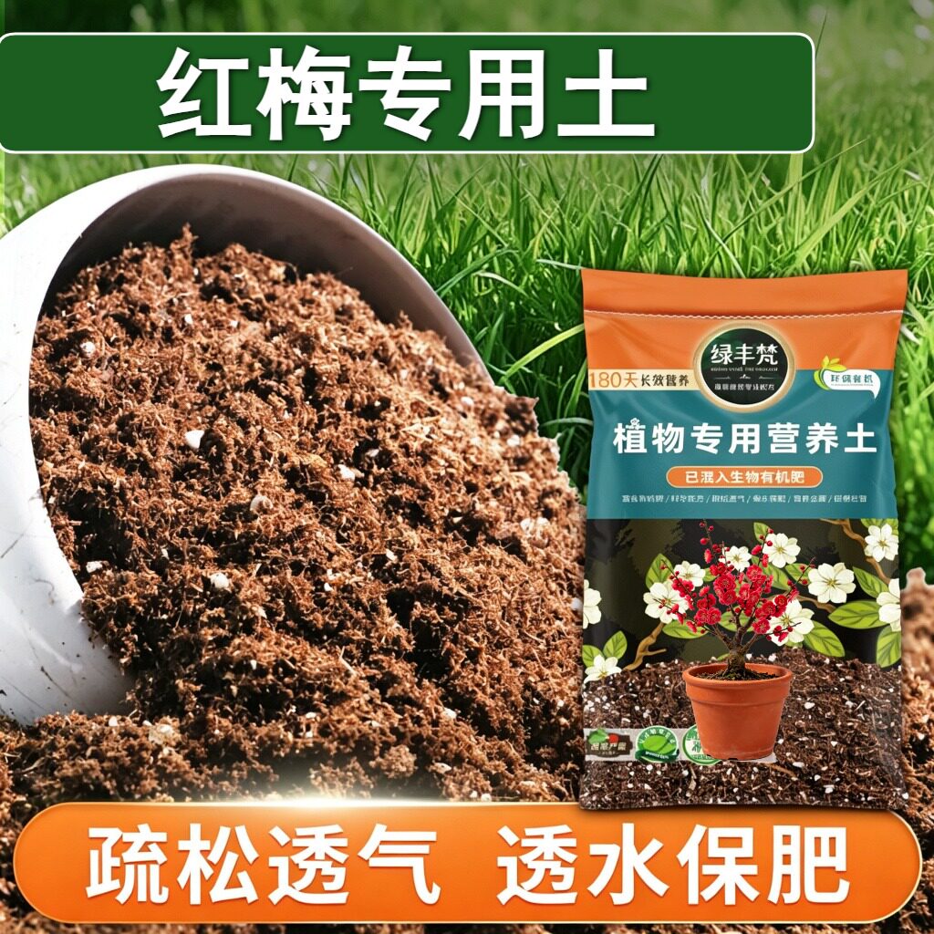 红梅适用基质改良土质花卉营养土安全可靠绿叶无草籽多肉质地松软