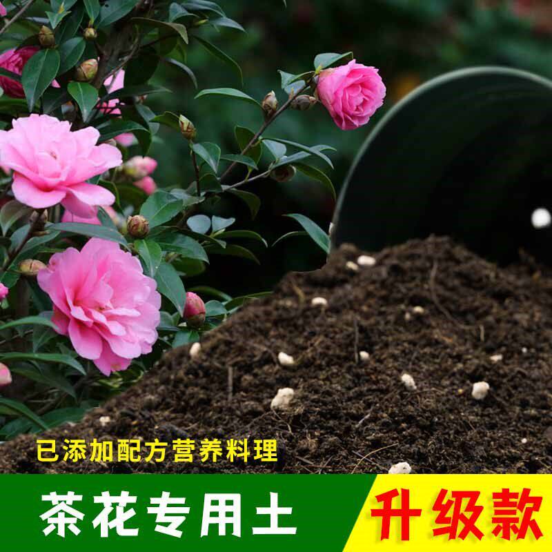 种茶花专用土花土山茶花营养土盆栽专用土壤泥土种花土肥料专用肥