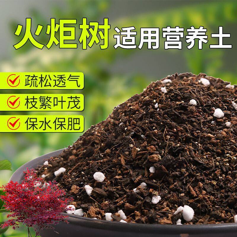 【火炬树专用土】疏松透气盆栽绿植专用室内植物有机营养土肥料