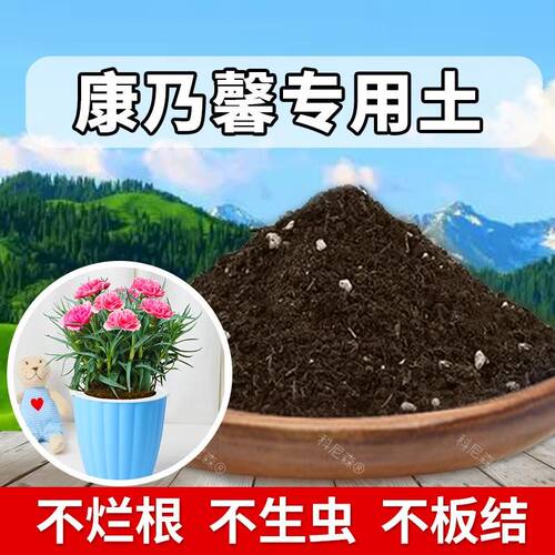 康乃馨专用土肥料园艺康乃馨营养土透气泥土椰砖室内植物盆栽土壤