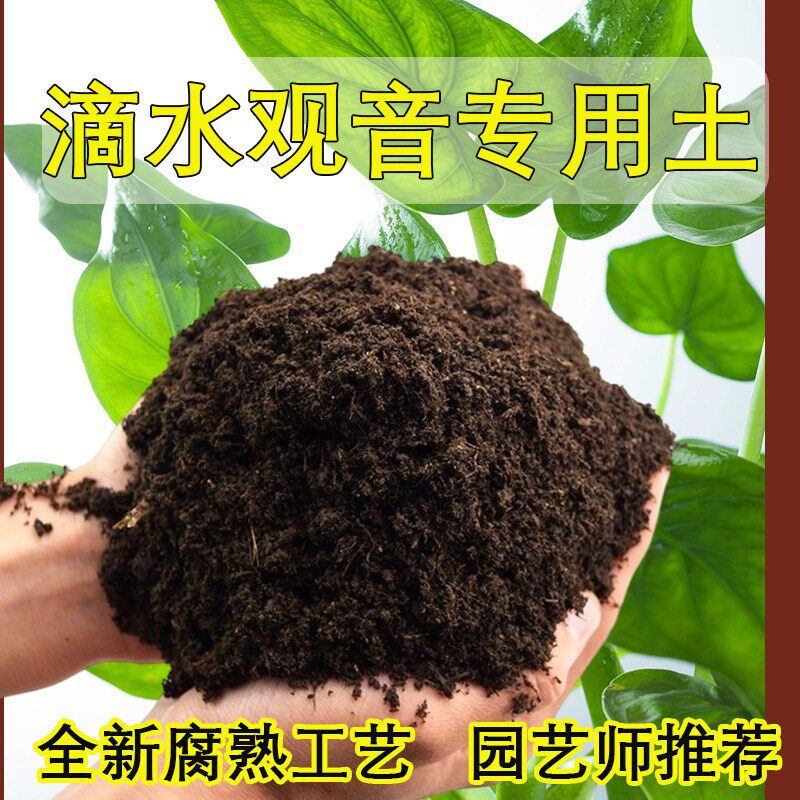 滴水观音专用土室内阳台盆栽土酸性种植花土家庭通用有机种植土壤