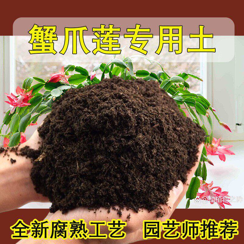 蟹爪莲专用土室内种花土蓬松有机肥营养土养花多肉土盆栽专用土