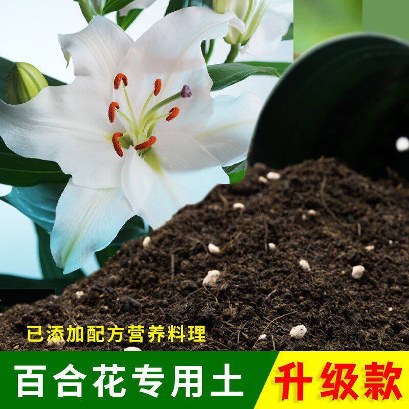 百合花专用土家庭盆栽土肥料种花泥土百合花营养土专用养花种植土