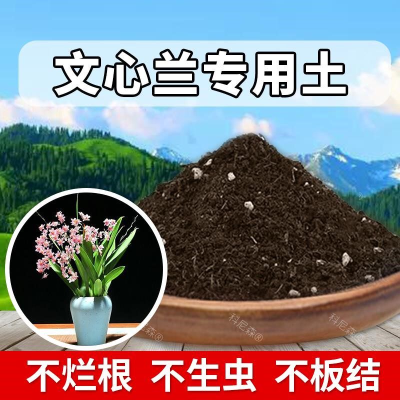 文心兰专用土肥料文心兰营养土绿植室内植物有机土养花种植土蓬松