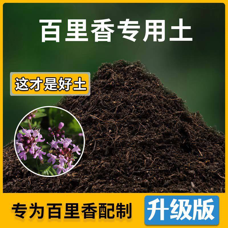 百里香专用土百里香营养土家用种植土壤家庭盆栽种花养花有机土