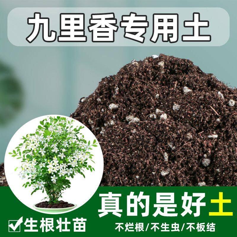 九里香专用土花土营养土通用型家用养花种植土有机盆栽腐叶腐殖土