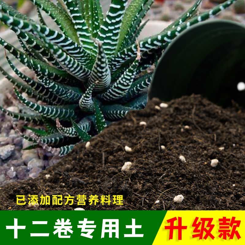 十二卷专用土有机土肥料家用种植土十二卷营养土盆栽养花通用包邮