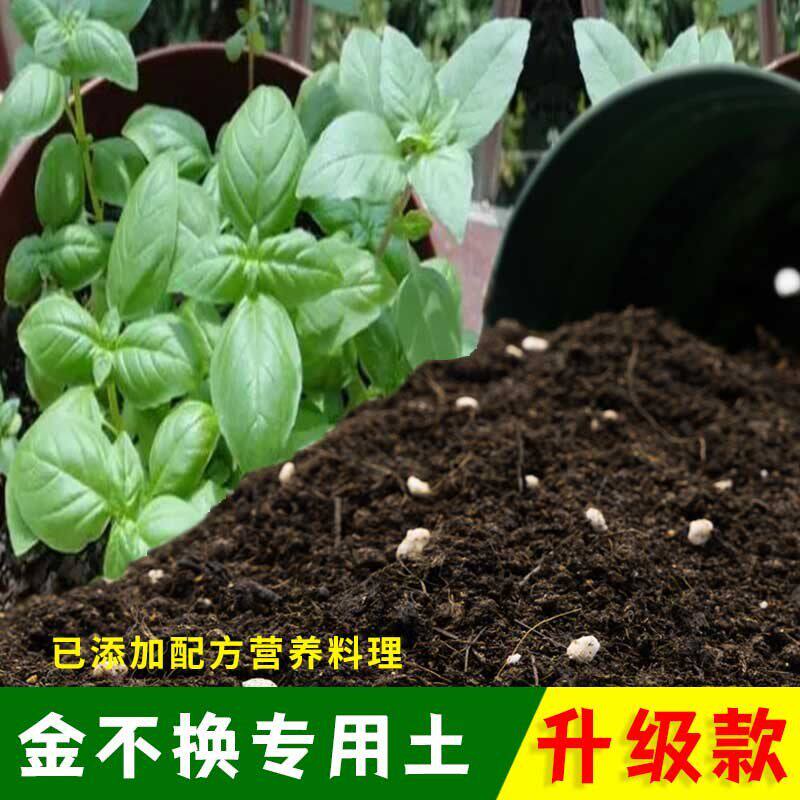 金不换专用土有机土肥料家用种植土金不换营养土盆栽养花通用包邮