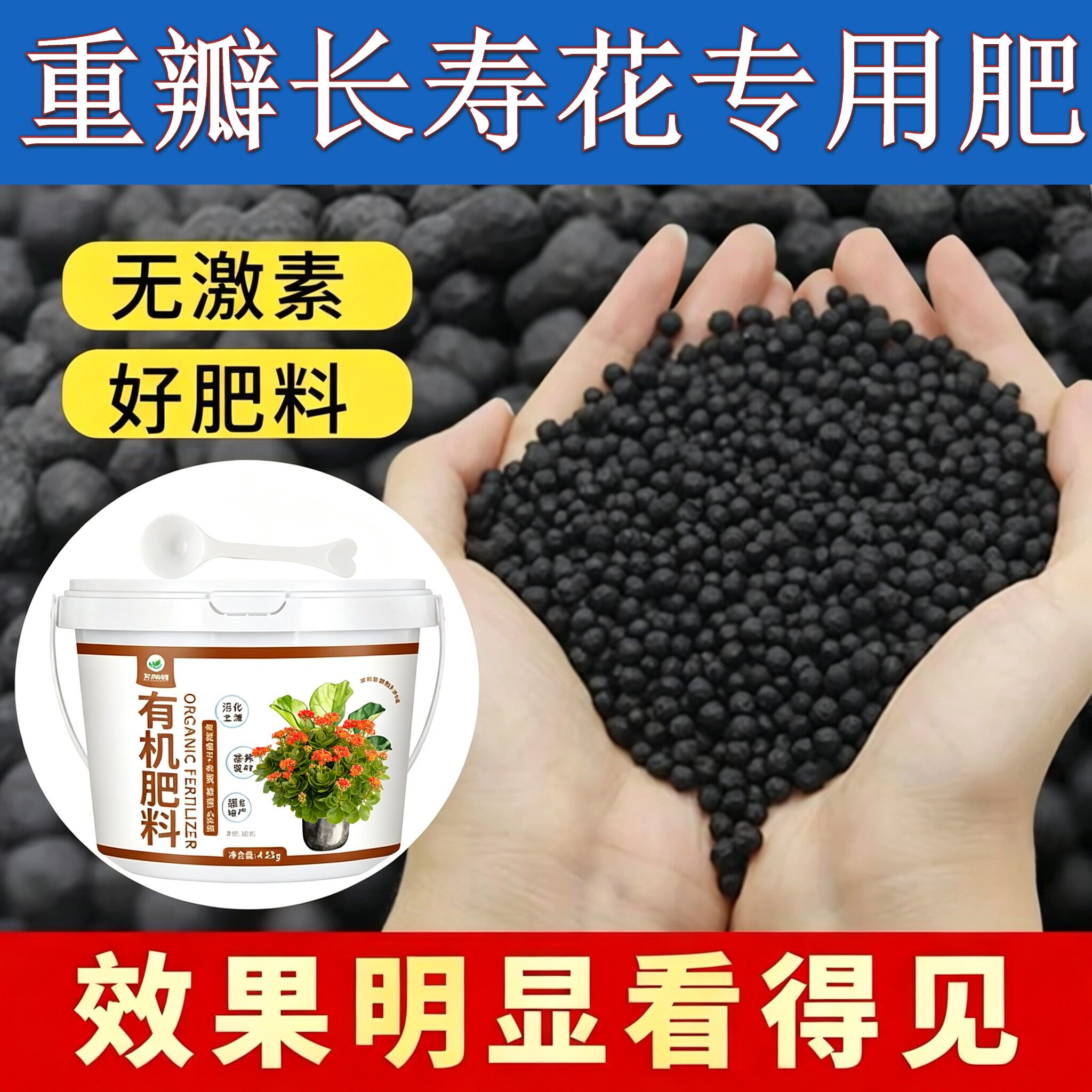 重瓣长寿花适用肥养花肥花多色艳园艺阳台营养肥叶片肥厚壮苗促长
