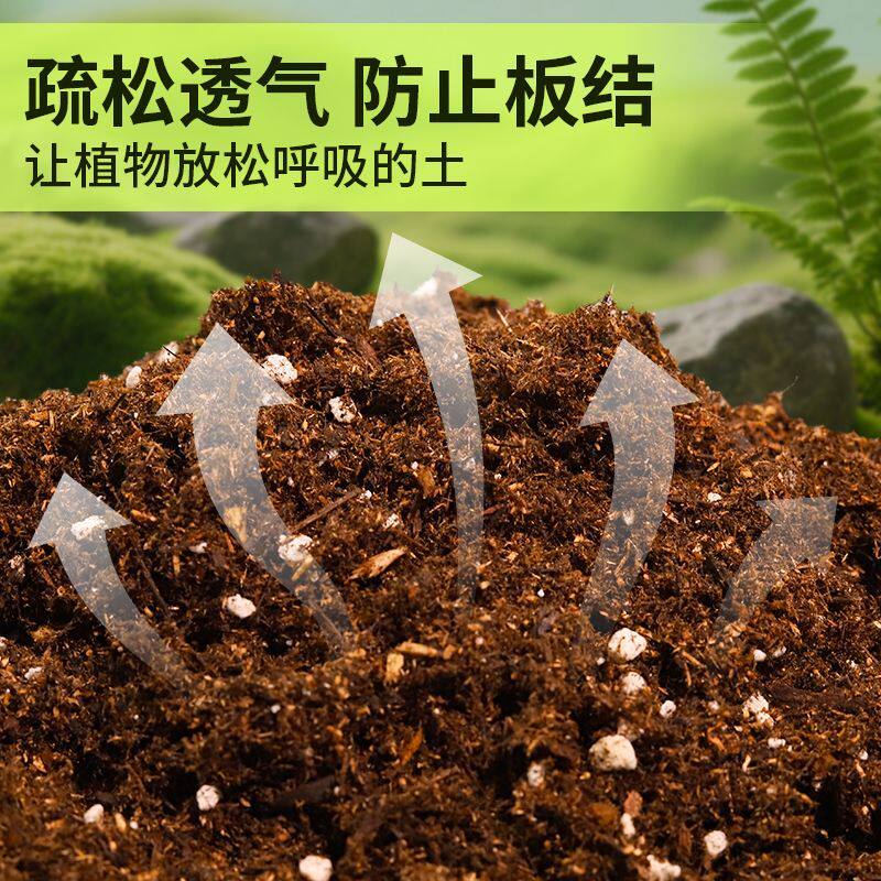 凤梨花专用园艺土科学配比育苗盆栽土细腻均匀辅助发根实惠装多肉