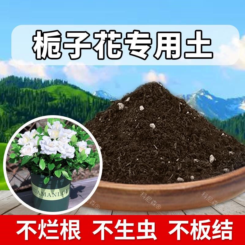 栀子花专用土盆栽花卉酸性营养土栀子花专用肥料种植土养花有机土