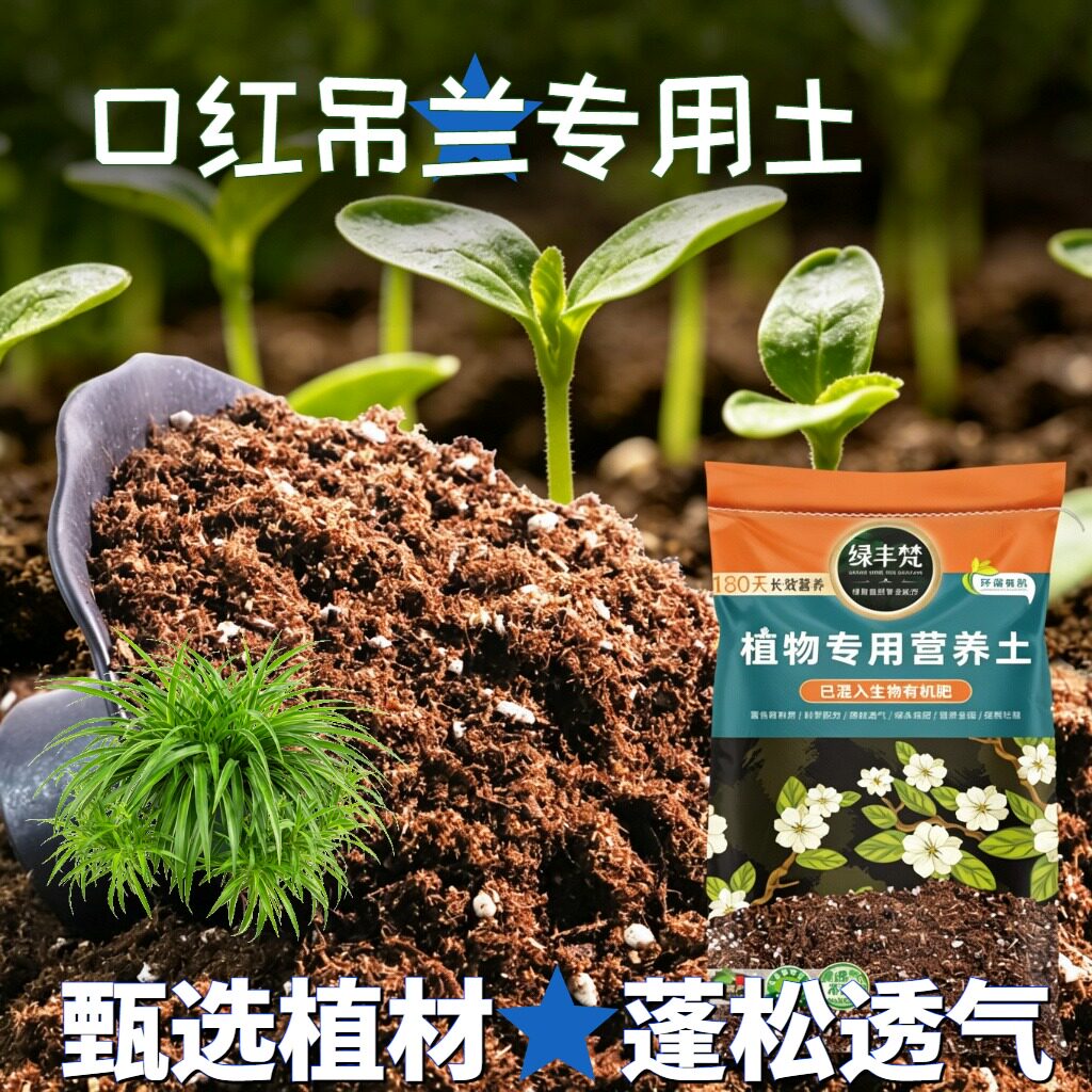 口红吊兰适用种植土改良土质营养土轻量基质保水锁水无草籽观花
